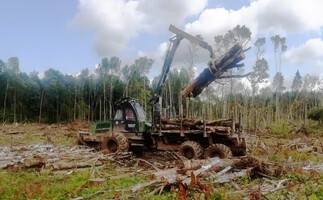 Агрогородок Урицкое