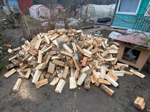 dostavka-drova-kolotyie-berezovyie-5-kub-m