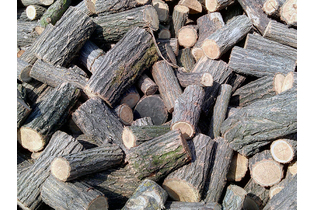 Дрова дубовые пиленные в чурках