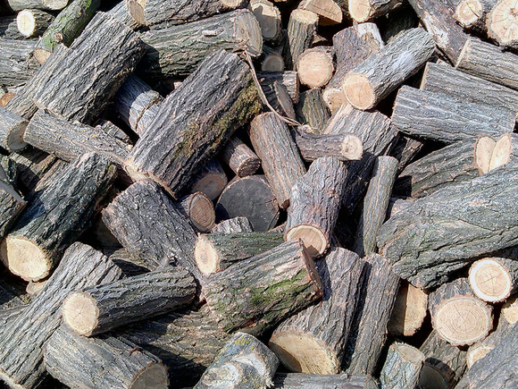 drova-pilennyie-dubovyie-3