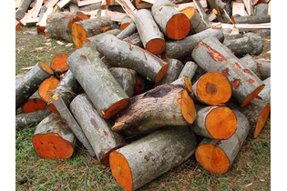 Дрова ольховые пиленные в чурках