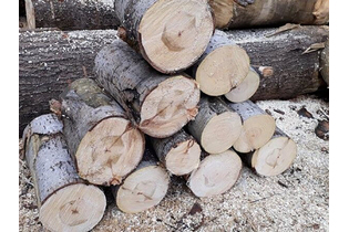 Дрова осиновые пиленные в чурках