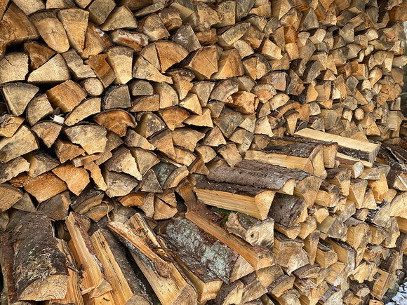 drova-xvojnyix-porod-dereva-kolotyie-3