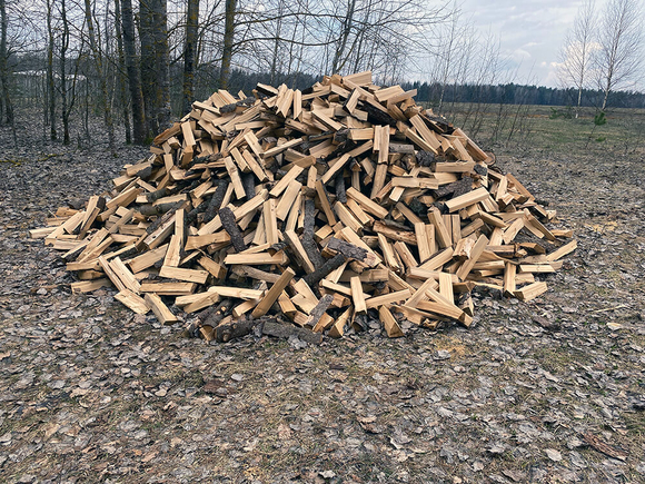 drova-xvojnyix-porod-dereva-kolotyie-8-kub-m