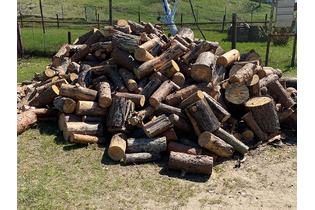 Дрова хвойные, из ёлки и сосны пиленные в чурках