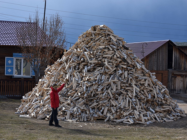 Складирование березовых дров